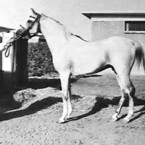 KAROON