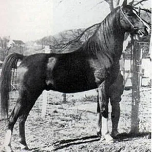 MIRZAM
