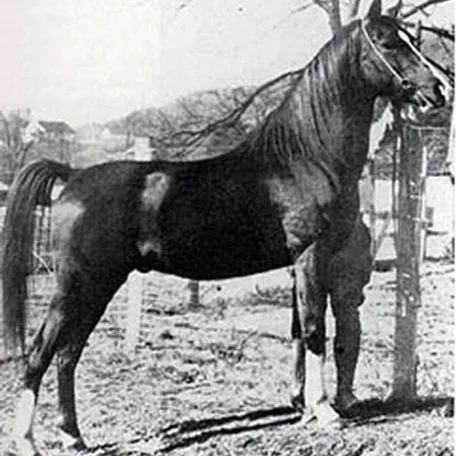 MIRZAM