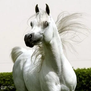 NOORREDDINE EZZAIN