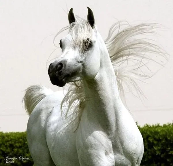 NOORREDDINE EZZAIN
