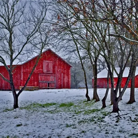 Covered Bridges and Winter Barns