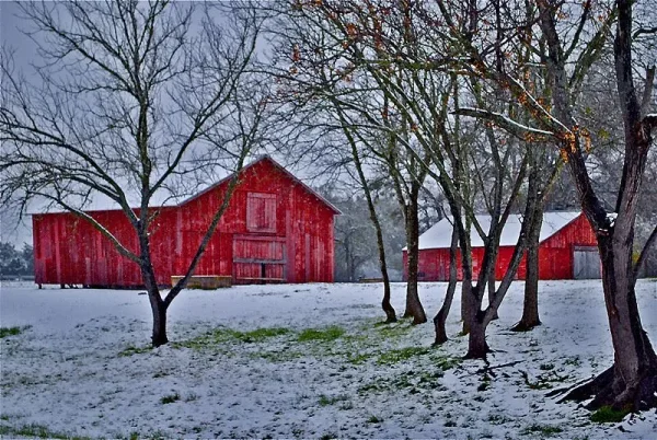 Covered Bridges and Winter Barns