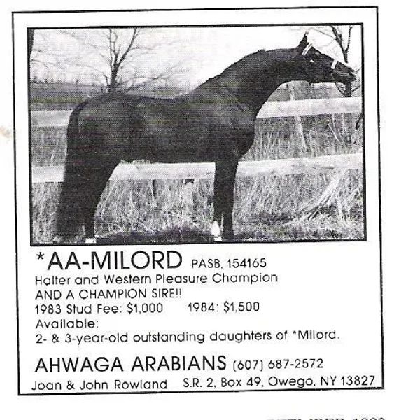 AA-Milord