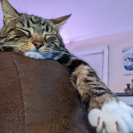 Couch sleepin' Moogle.