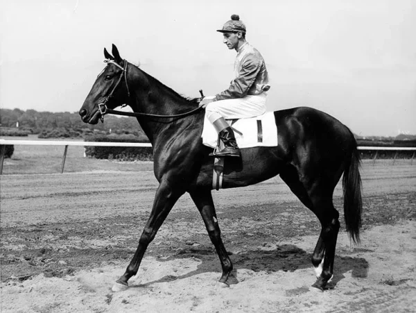 Bold Ruler