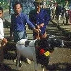 Priangan