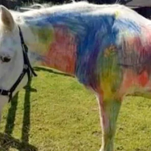 Are pony-painting parties really ‘inhumane’?