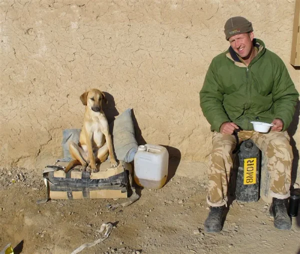 Nowzad Animal Rescue