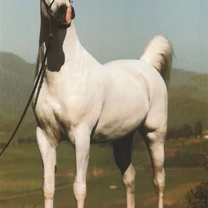 Malikitoa