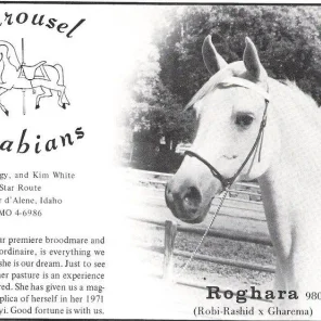 ROGHARA