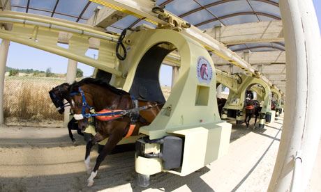 Horse Training Equipment-- What You Need to Know
