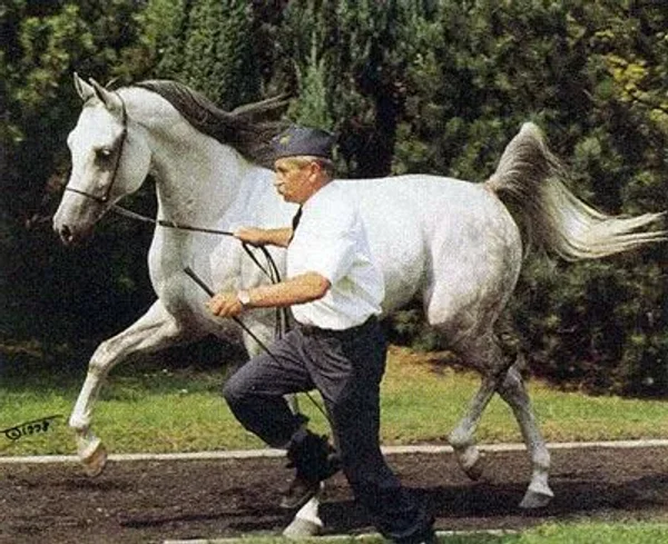 EMIGRANT