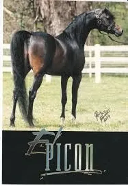 El Picon