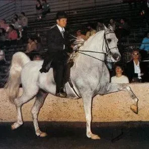 El Risaan