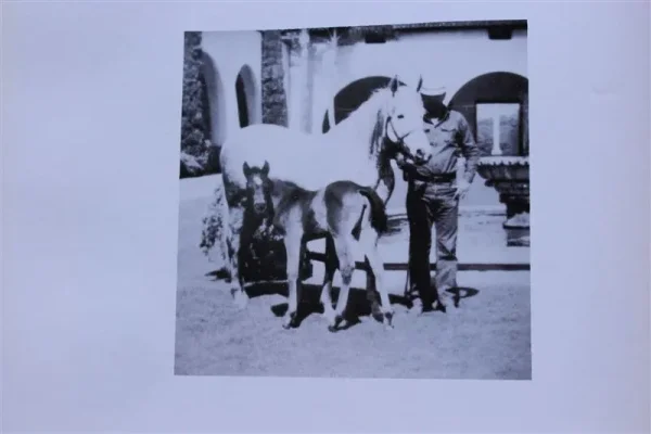 Rasyq (Raseyn x Nakkla) grey mare, foaled January 8, 1943
bred by W.K. Kellogg Institute