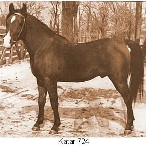 Katar
