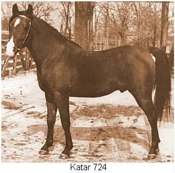 Katar