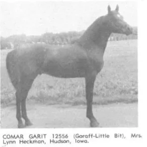 Comar Garit