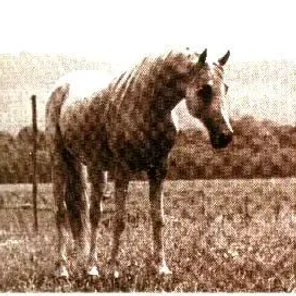 Czubuthan