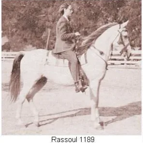 Rassoul