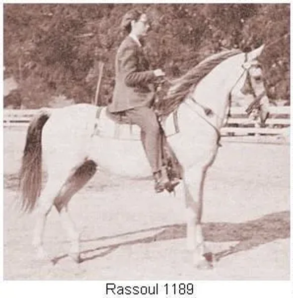 Rassoul