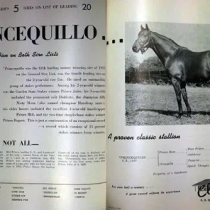 Princequillo