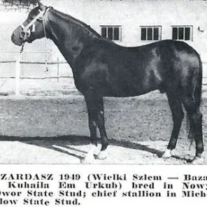 CZARDASZ