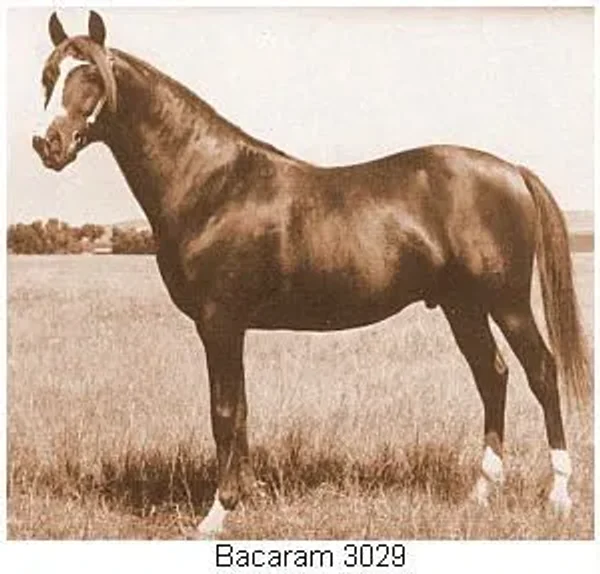 BACARAM