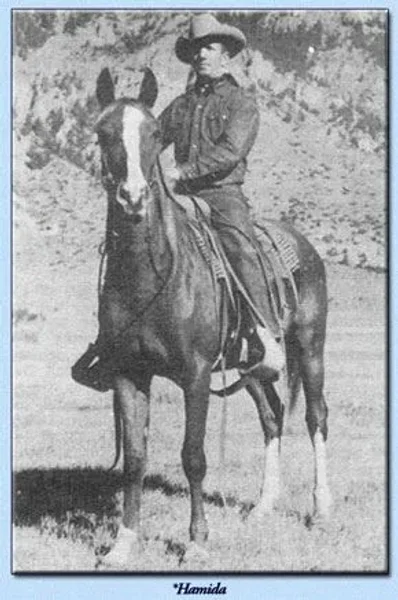 Hamida