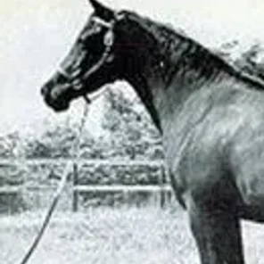 Tehoura