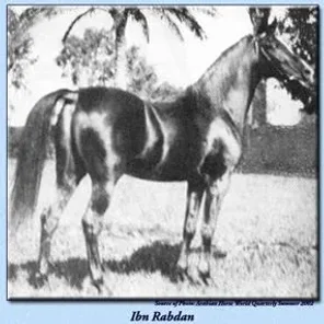 IBN RABDAN