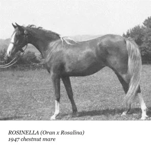 Rosinella