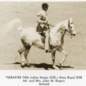 Serafire