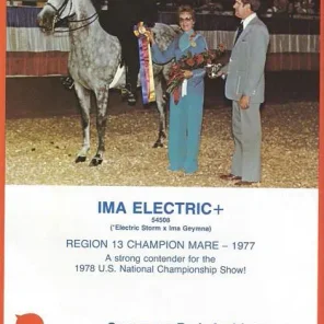 Ima Electric+++