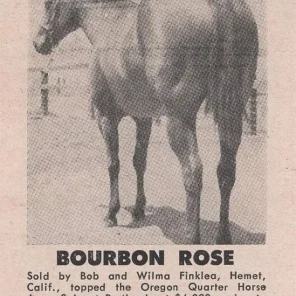 Bourbon Rose