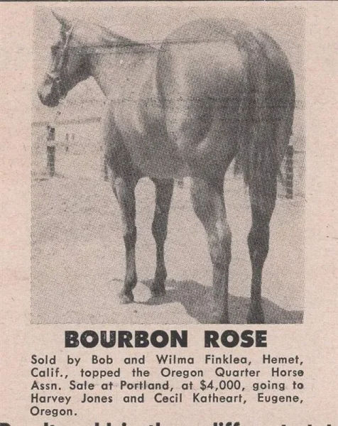 Bourbon Rose