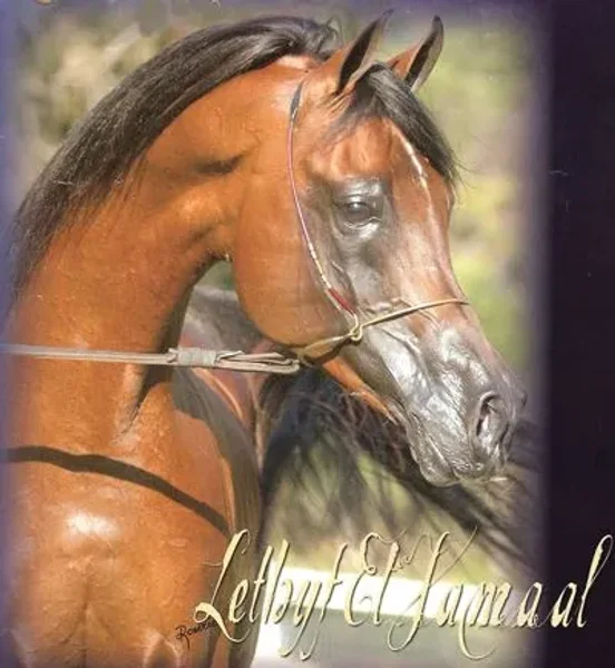 LETHYF EL JAMAAL