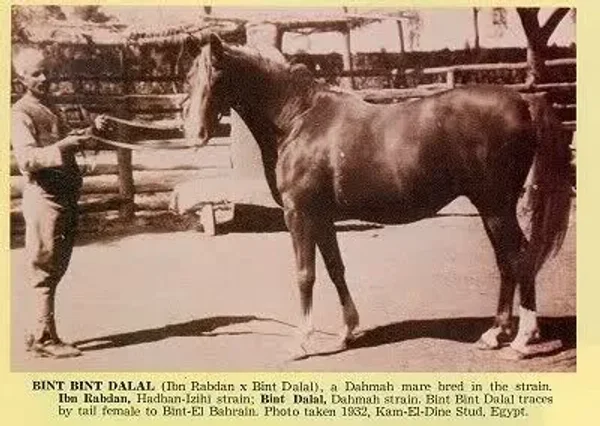 Bint Bint Dalal