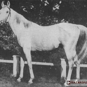 Mazepa I
