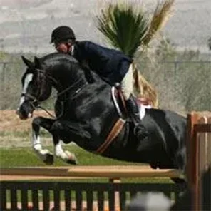 Hanoverian