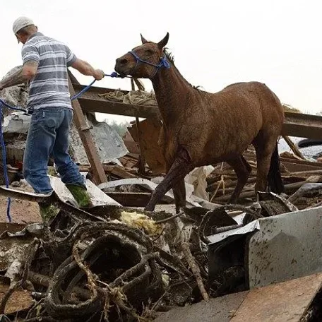 More than 100 horses feared dead after 200mph twister.