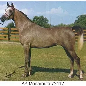 AK Monaroufa