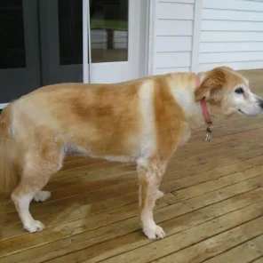 Maggie