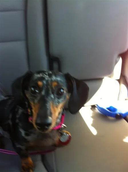 Roxy