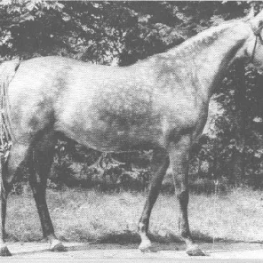 Mortissa