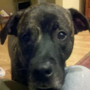 Buster