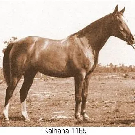 Kalhana