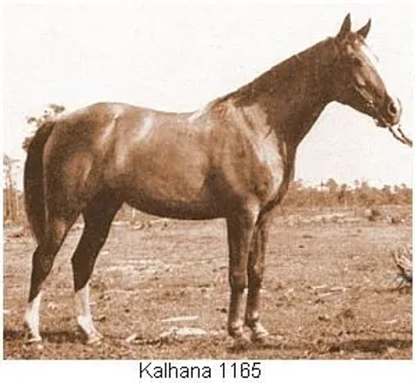Kalhana