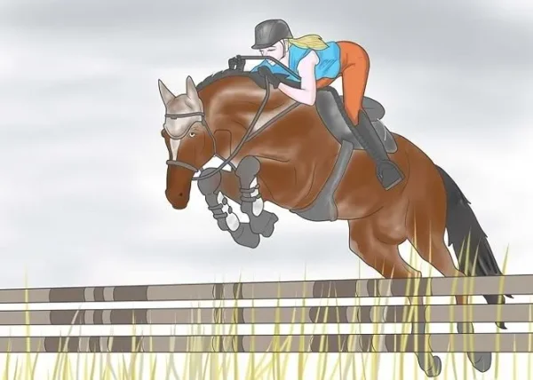 Riding Disciplines and Equestrian Styles - which is right for you